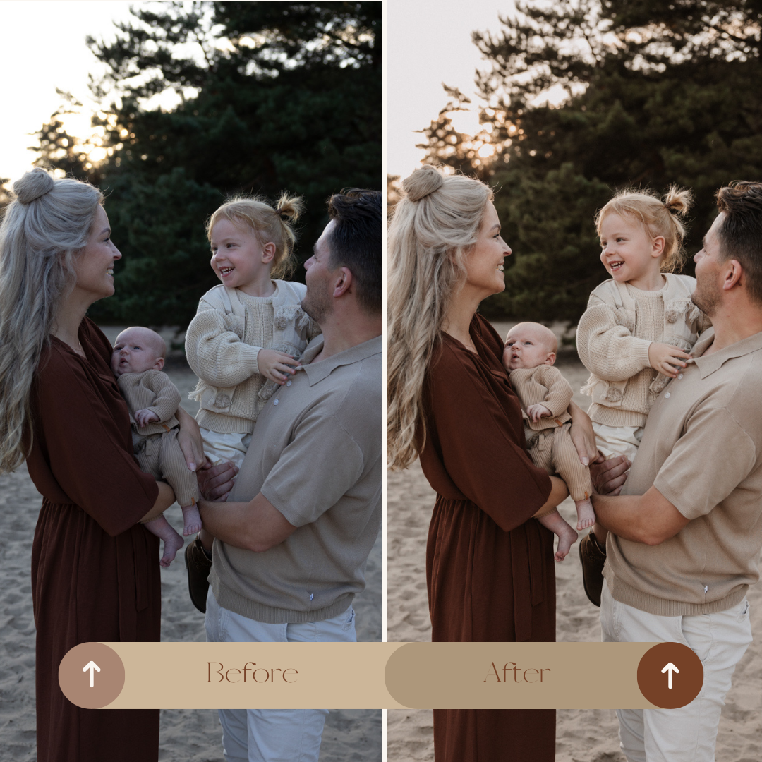 LIGHTROOM PRESET 'TERRA'