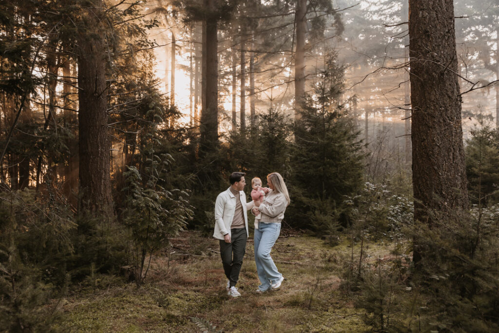 wintershoot tussen de hoge sparren in het bos in Breda